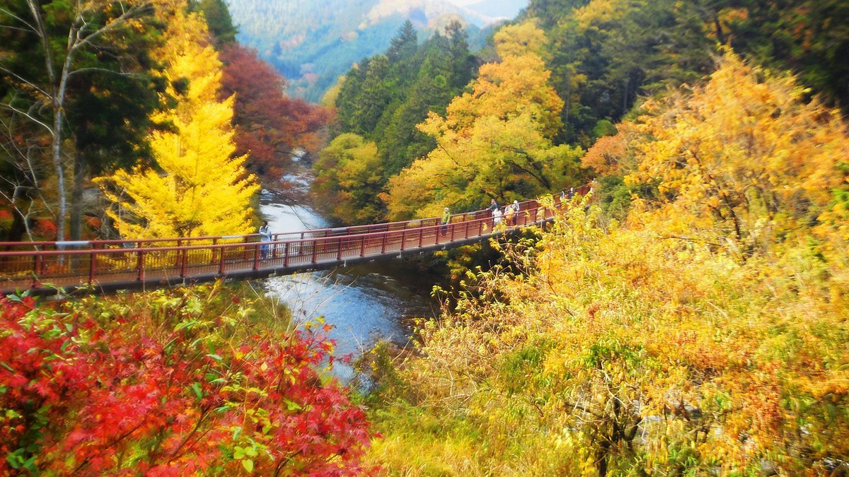 🌳 아키루다이 공원 이미지 8